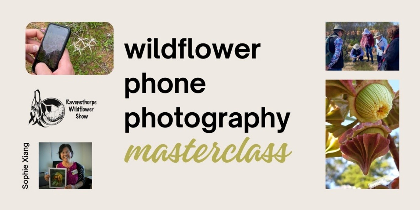 Wildflower Photography Masterclass Sophie Xiang
